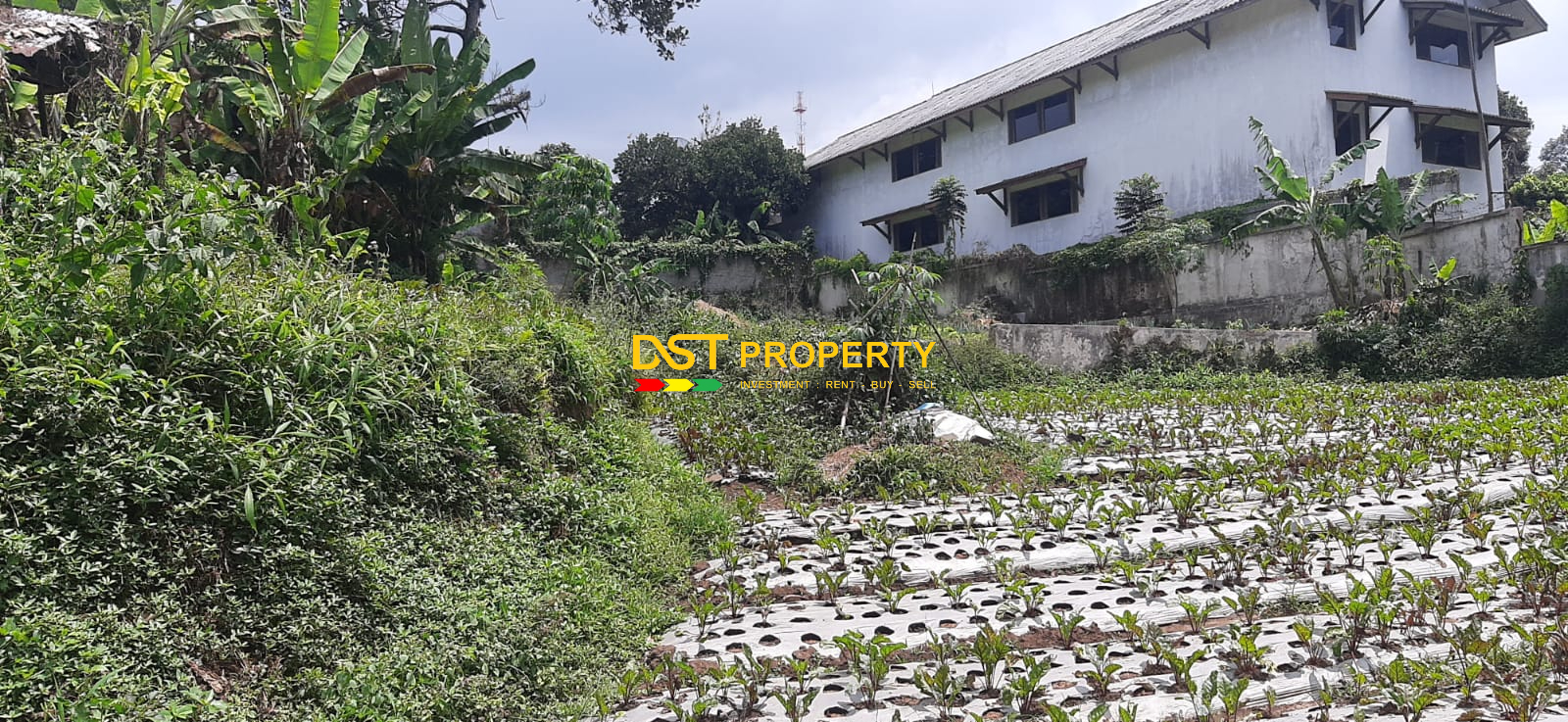 WhatsApp Image 2023-08-23 at 05.52.58 (1)