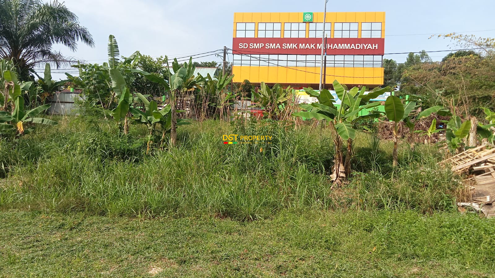 WhatsApp Image 2024-10-10 at 2.37.14 PM